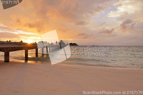 Image of tropical beach