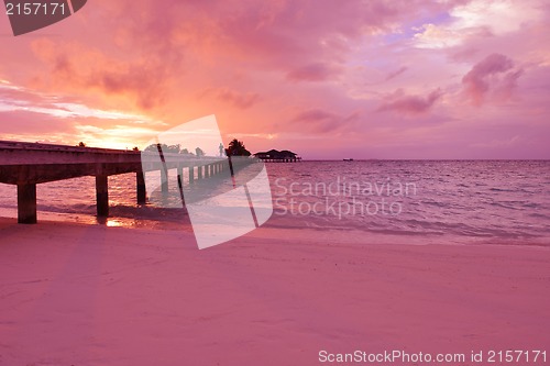 Image of tropical beach