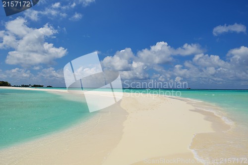 Image of tropical beach