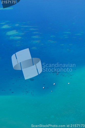 Image of tropical beach