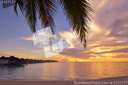 Image of tropical beach