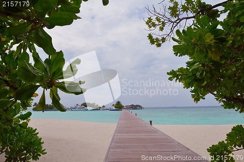 Image of tropical beach