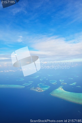 Image of tropical beach