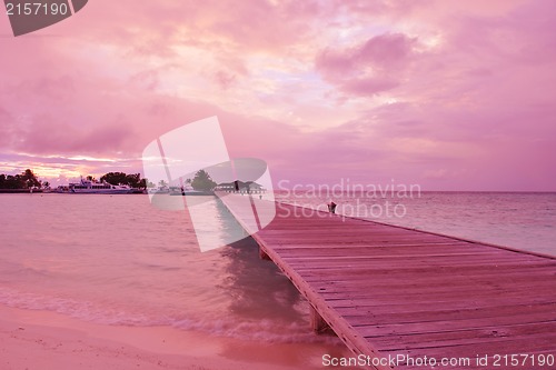 Image of tropical beach