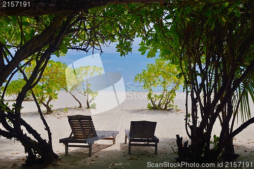 Image of tropical beach