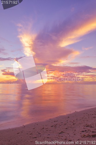 Image of tropical beach