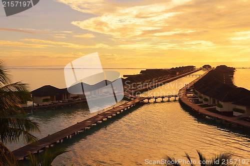 Image of tropical beach