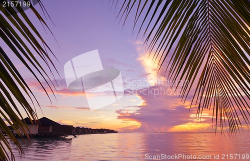 Image of tropical beach