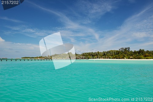 Image of tropical beach