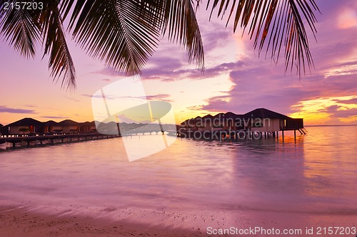 Image of tropical beach