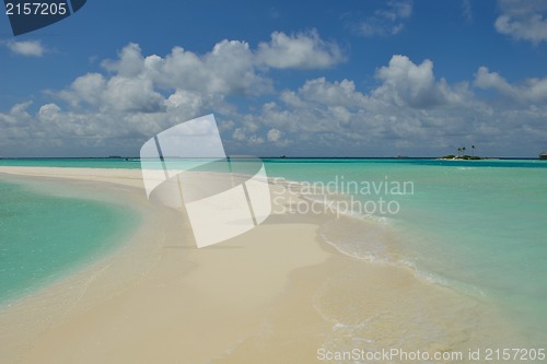 Image of tropical beach