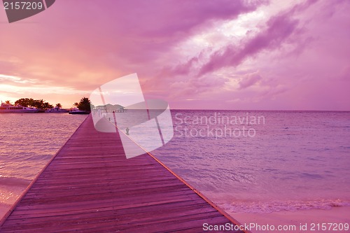 Image of tropical beach