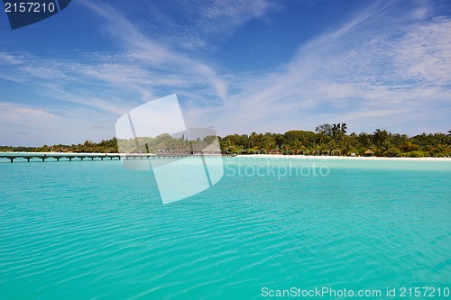 Image of tropical beach