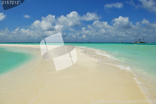 Image of tropical beach