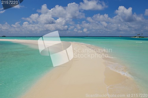 Image of tropical beach