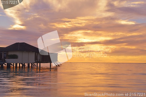 Image of tropical beach