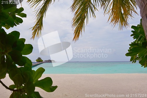 Image of tropical beach