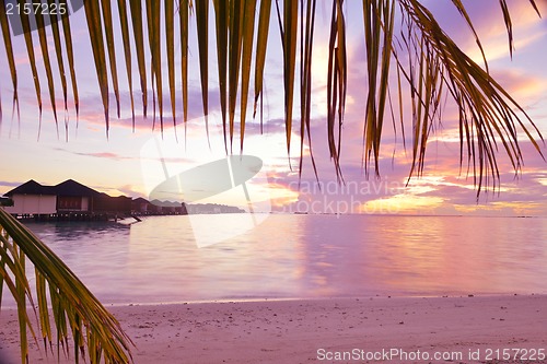 Image of tropical beach