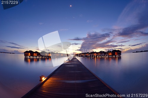 Image of tropical beach