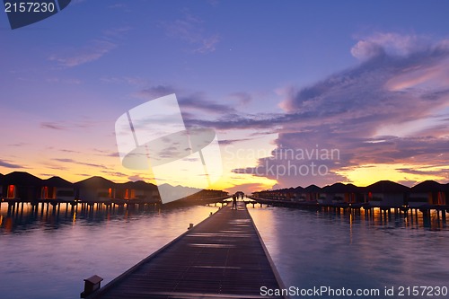 Image of tropical beach