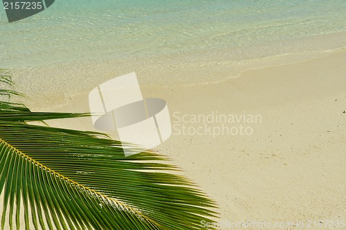 Image of tropical beach