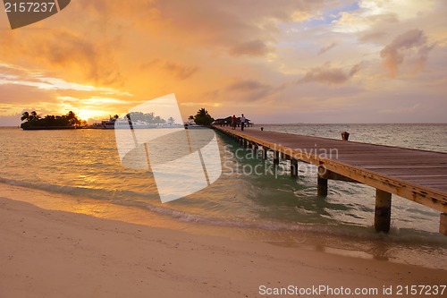 Image of tropical beach