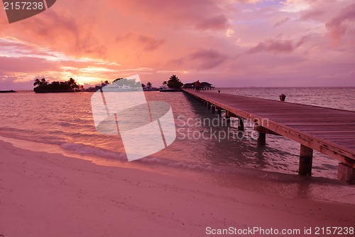 Image of tropical beach