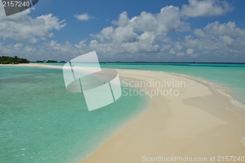 Image of tropical beach