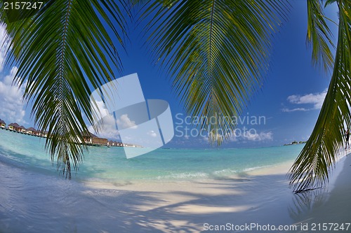 Image of tropical beach