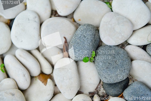 Image of tropical beach