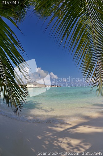 Image of tropical beach