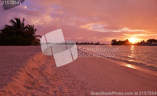 Image of tropical beach