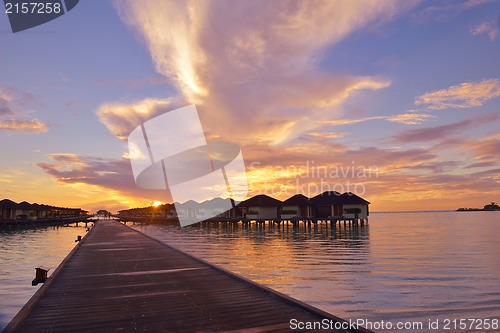 Image of tropical beach