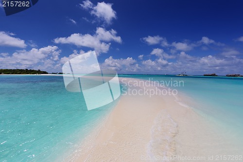 Image of tropical beach