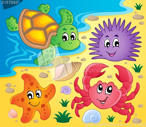 Image of Beach with shells and sea animals 3