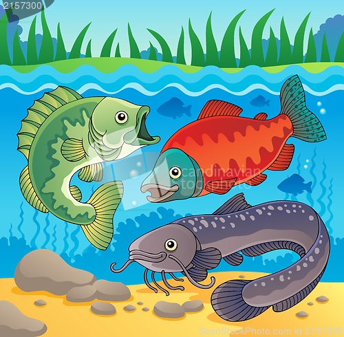 Image of Freshwater fish theme image 3