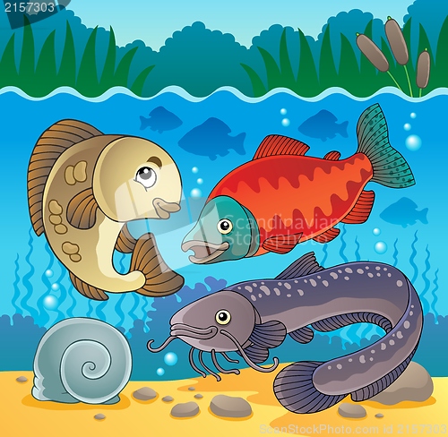 Image of Freshwater fish theme image 5