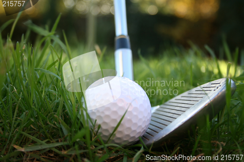 Image of Driver about to hit a golf ball from the rough