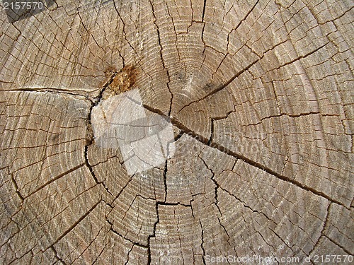 Image of Wooden dark background with split