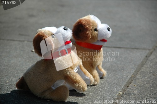 Image of Toy dogs