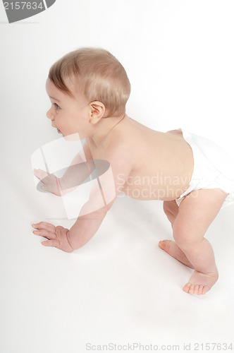 Image of Baby boy crawling in studio