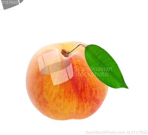 Image of Fresh Peach
