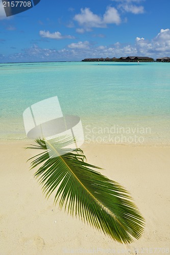 Image of tropical beach