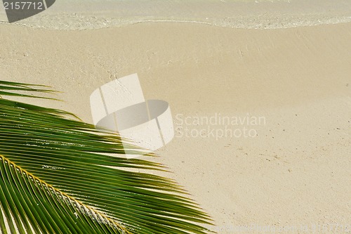 Image of tropical beach