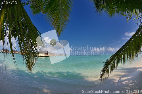 Image of tropical beach