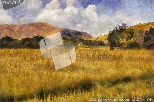 Image of Picturesque Grassland Oil Painting
