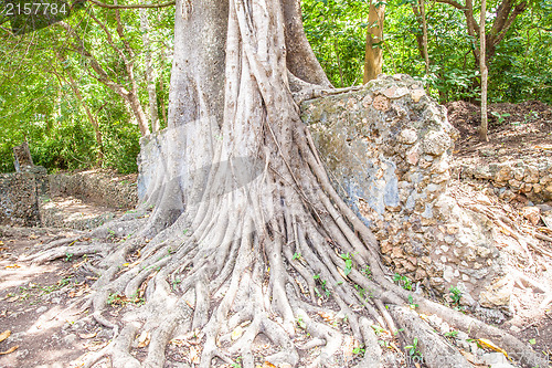 Image of Gede Ruins