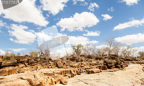 Image of Adventure in Kenya