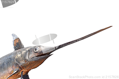 Image of swordfish in a museum