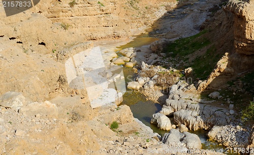Image of Wadi Qelt or Nahal Prat creek in Judean Desert near Jericho  